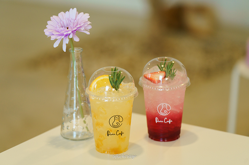 Purr Cafe Nakhonpathom