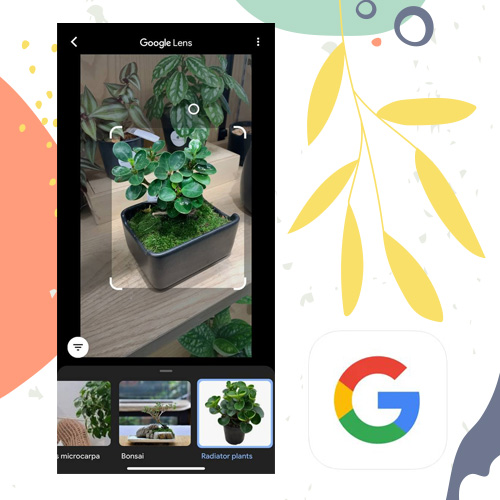 google lens