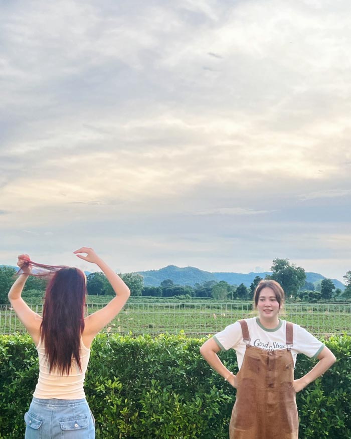 ใบเฟิร์น พิมพ์ชนก