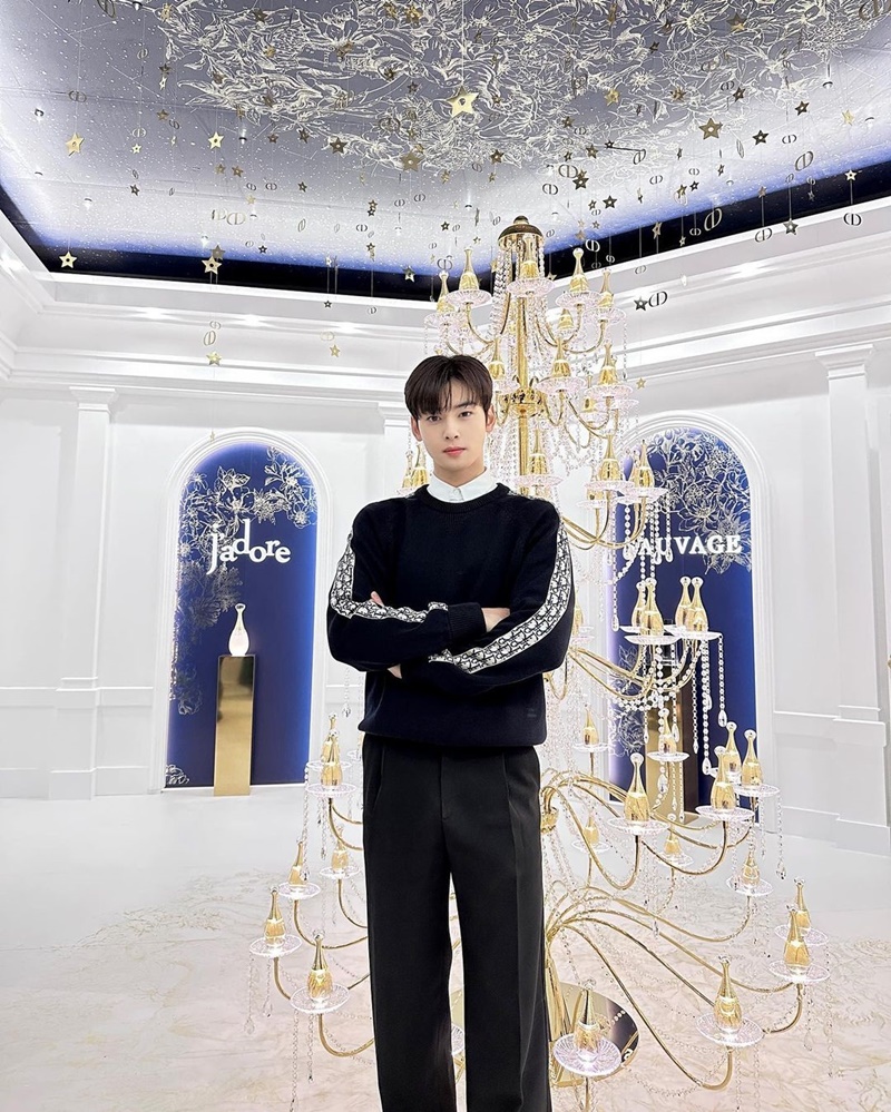 cha eun woo ชาอึนอู