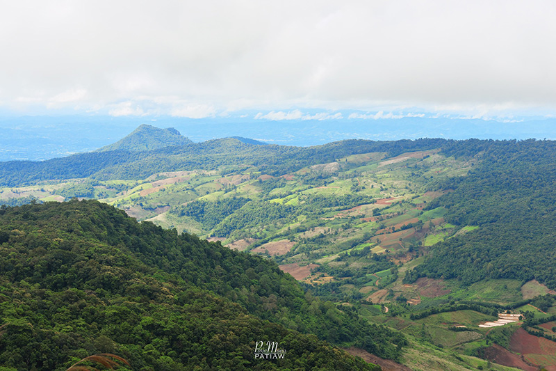 อุทยานแห่งชาติภูเรือ เลย