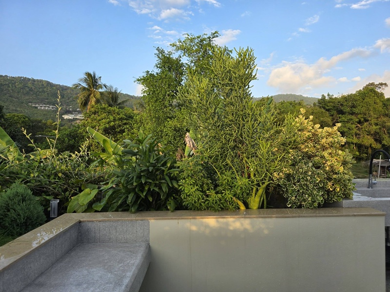 บ้านในฝัน