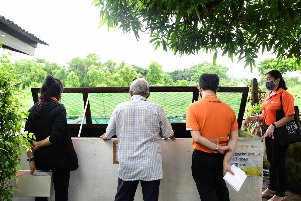 การไฟฟ้านครหลวง