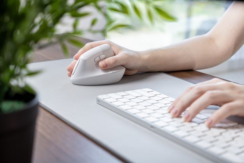 เม้าส์ Ergonomics