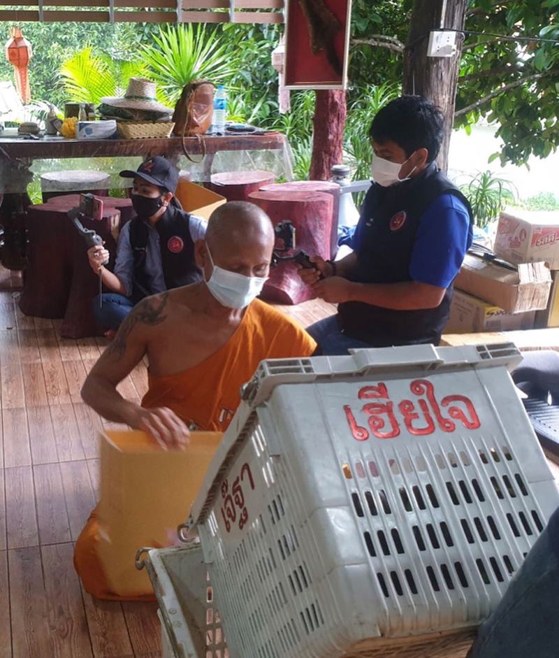 แอน ทองประสม ช่วยชาวสวนซื้อมังคุด 3 ตัน