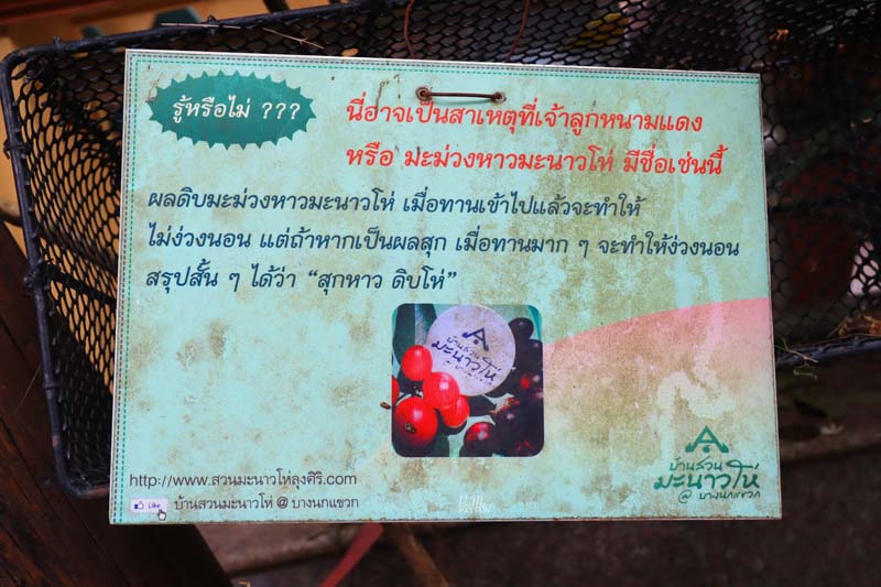 สิริสมปอง ฟาร์ม & คาเฟ่