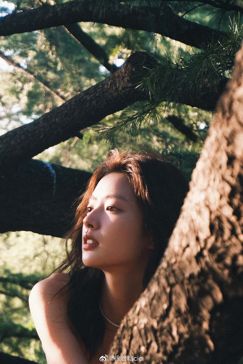 สวี่รั่วหาน ประวัติ xu ruohan