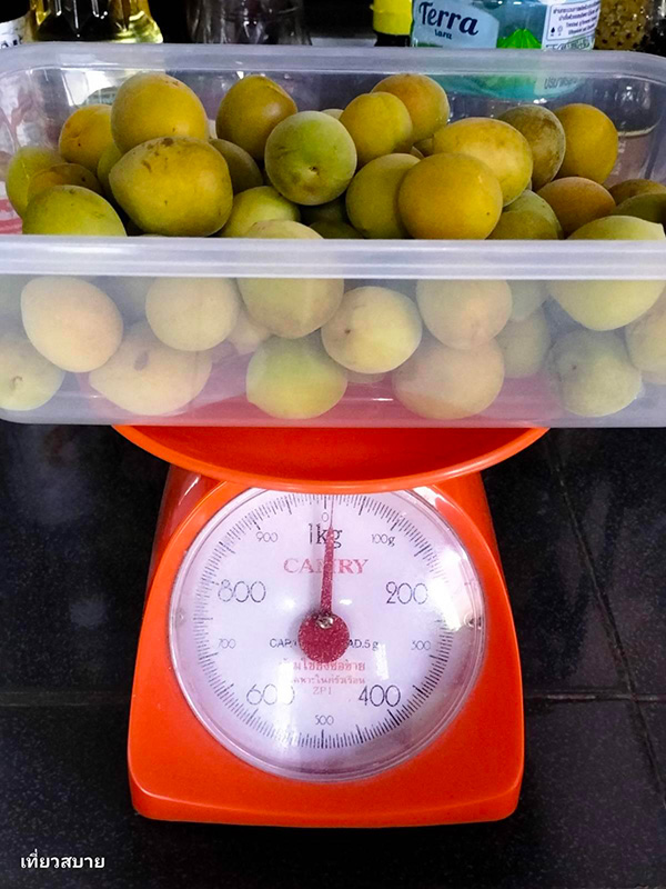 ไซรัปบ๊วย วิธีทำ Ume Syrup สูตรเครื่องดื่ม