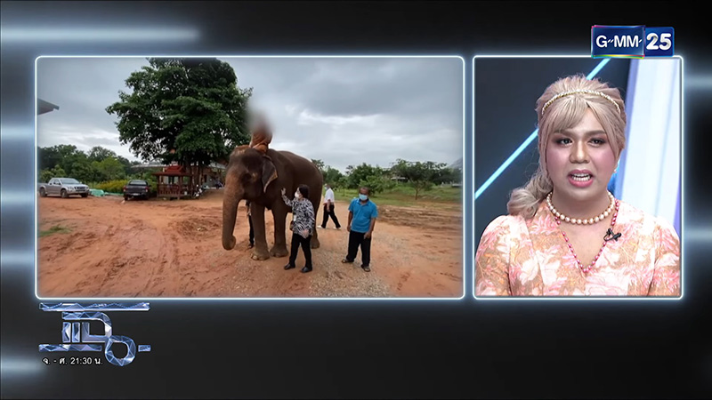 แพรรี่ ไพรวัลย์ วรรณบุตร 