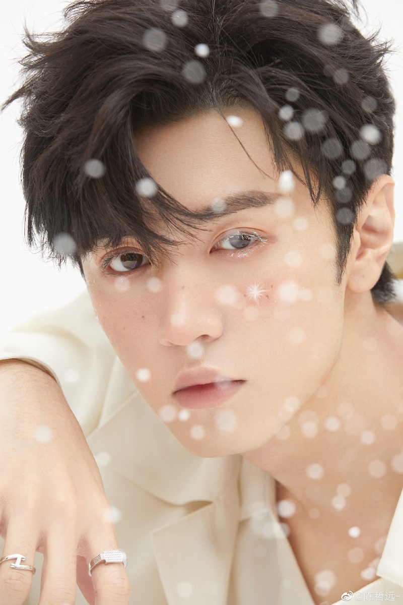 เฉินเจ๋อหย่วน chen zheyuan