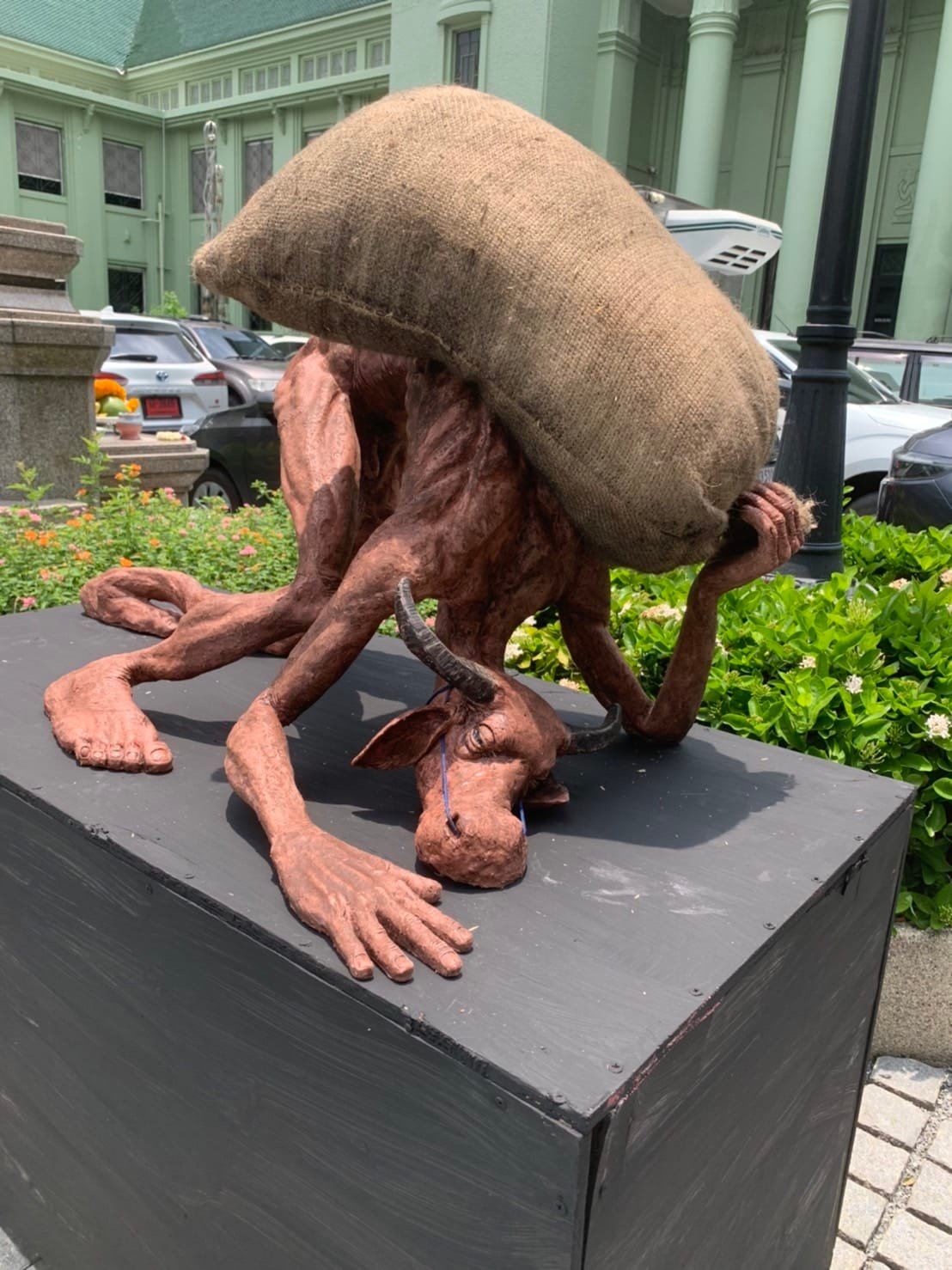 ควายผอม