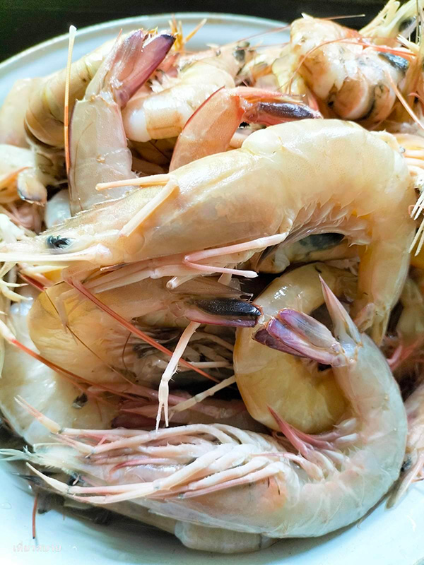 วิธีเก็บหมู หมึก กุ้ง และเนื้อสัตว์ต่าง ๆ ในช่องแช่แข็ง วิธีเก็บเนื้อสัตว์ในช่องฟรีซ  เคล็ดลับทำอาหาร