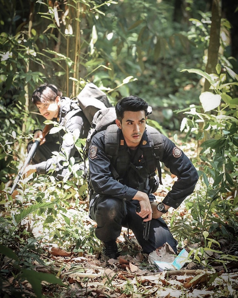 ร้อยป่า