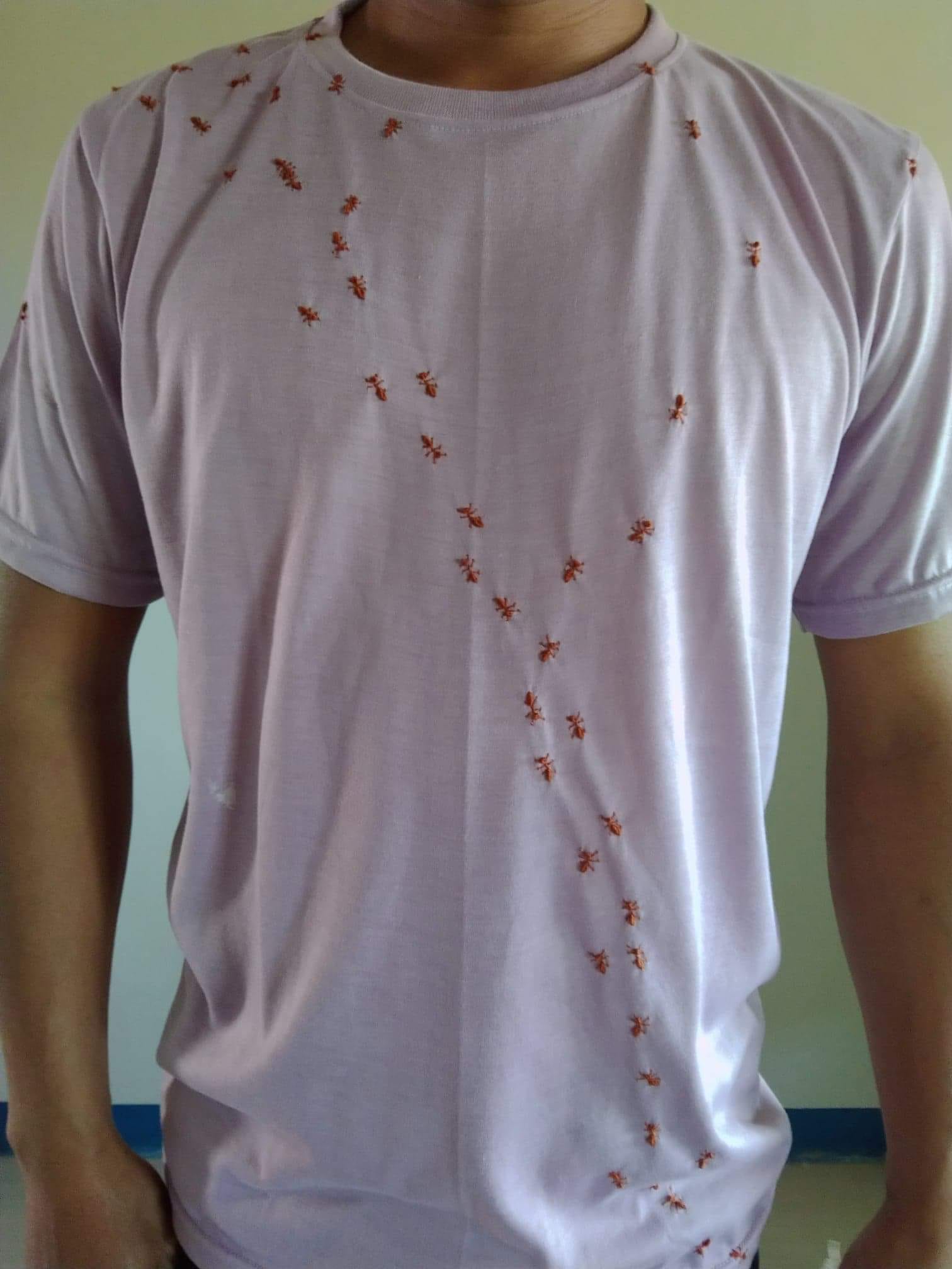 มดขึ้นเสื้อ