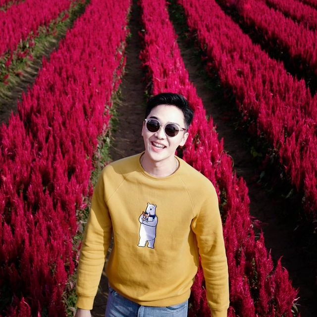 เจมส์ ชวิศ