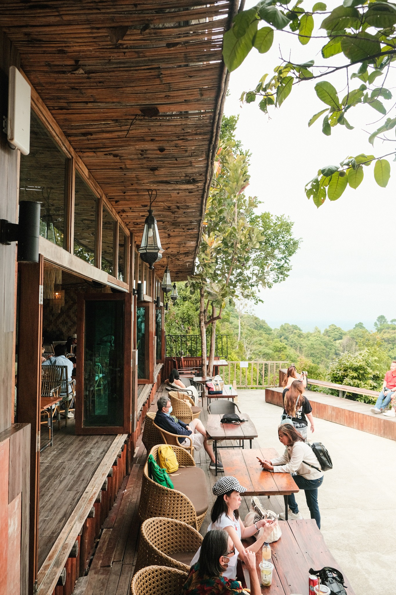 เสม็ดนางชี