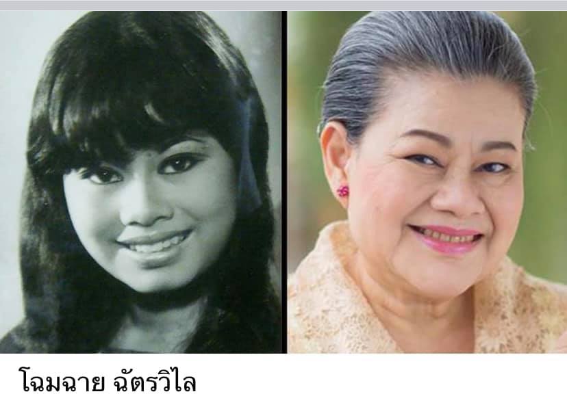 ดาวค้างฟ้าของเมืองไทย