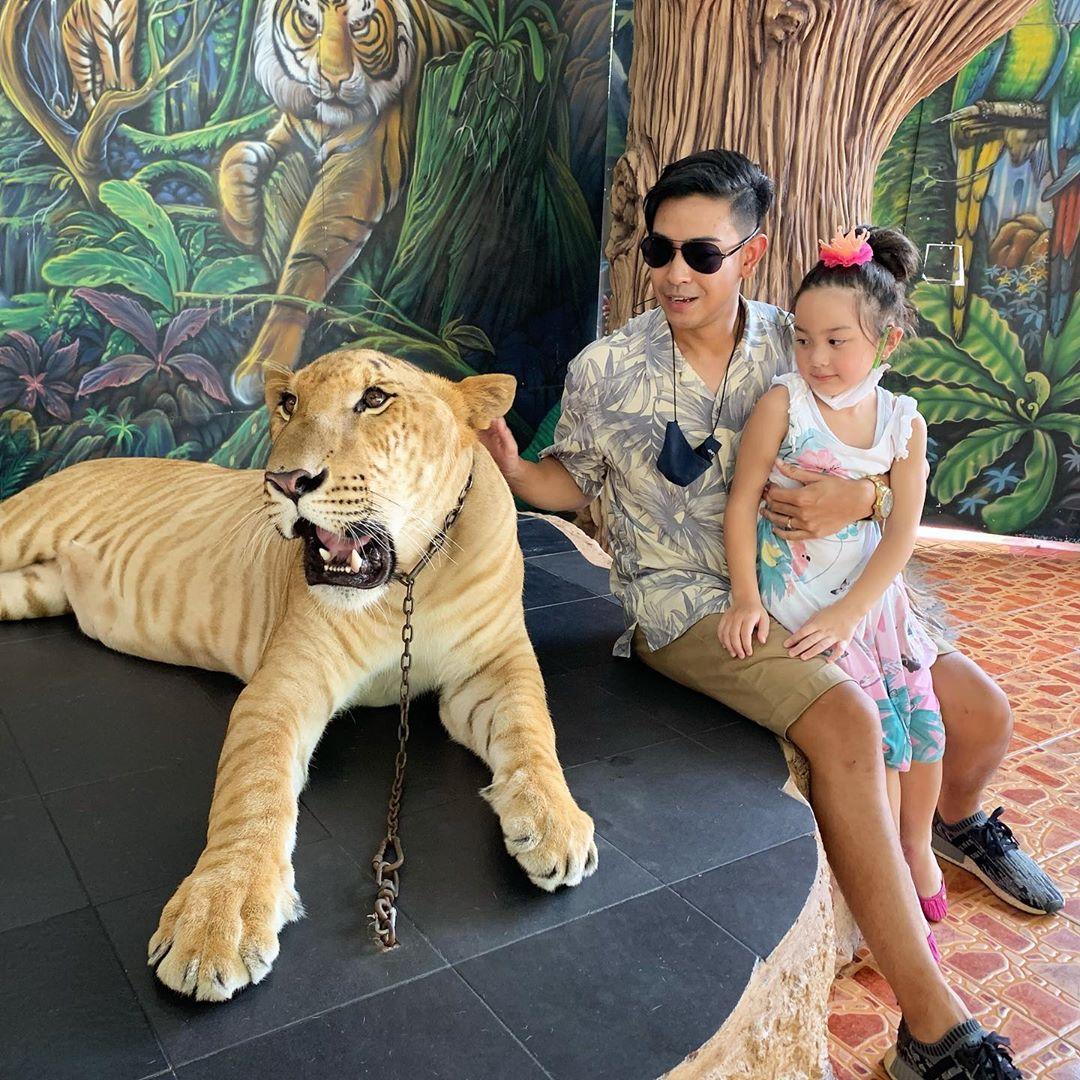 บอล วิทวัส