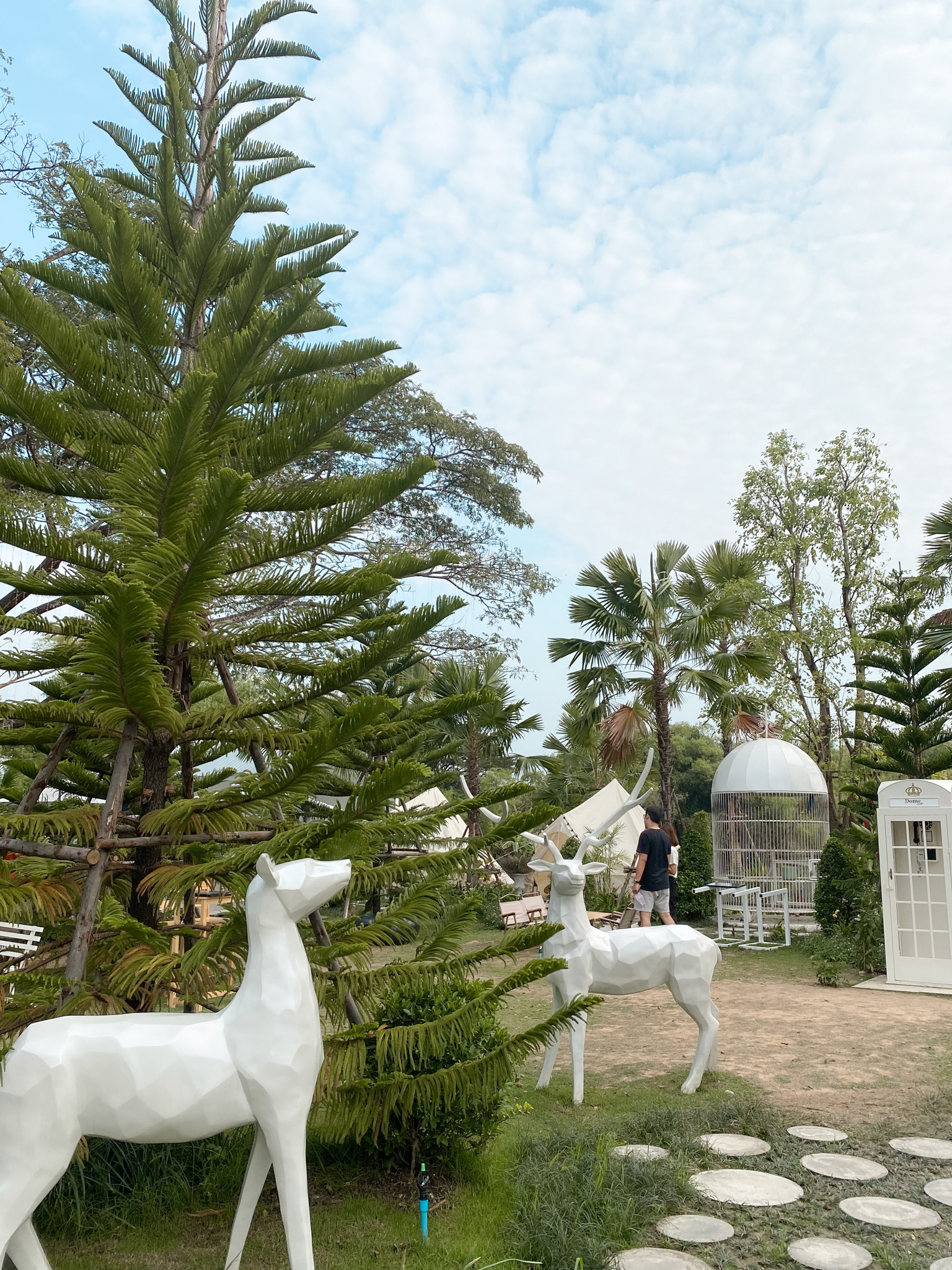 Dome cafe คาเฟ่นครนายก สไตล์สวนสวย ๆ