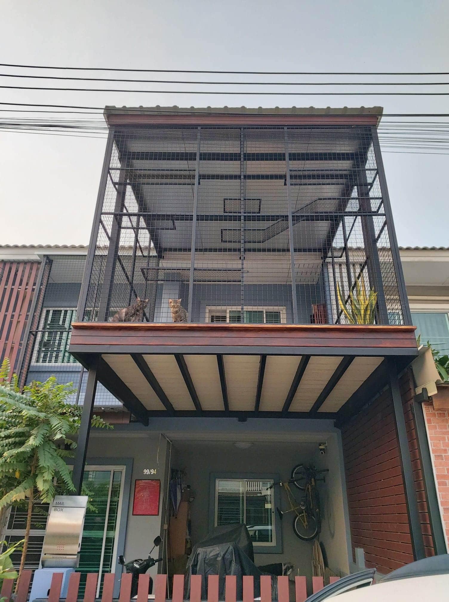 สร้างบ้านแมว