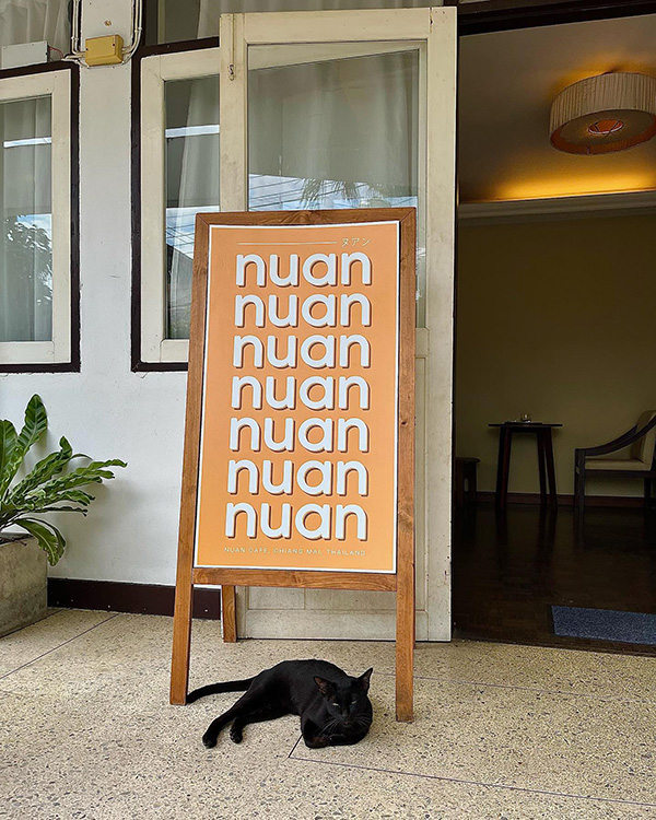 คาเฟ่ เชียงใหม่