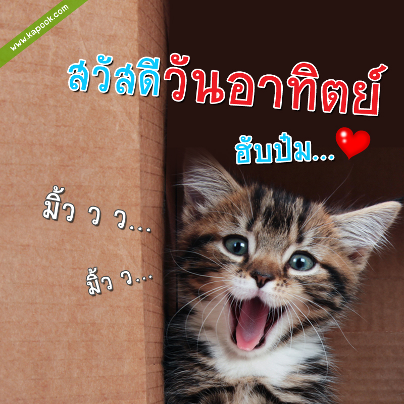 สวัสดีวันอาทิตย์ ฮับป๋ม มิ้ว ว ว ...