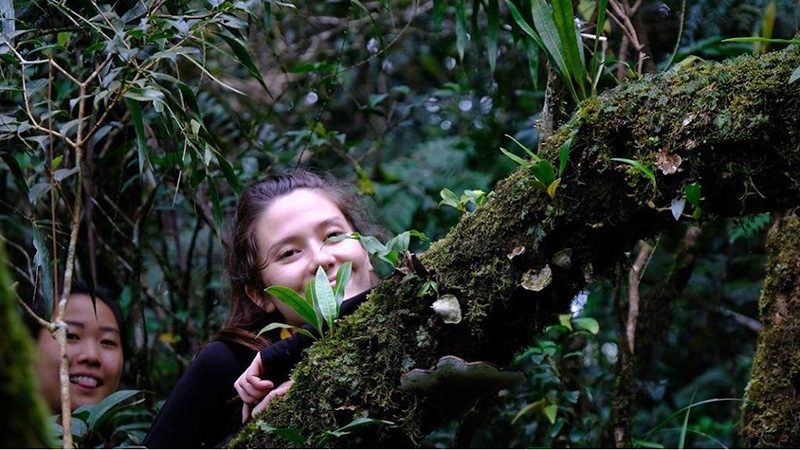 มารีญา พูลเลิศลาภ