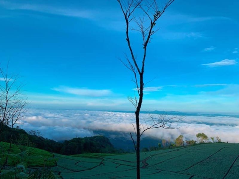 สถานที่ท่องเที่ยวดอยบ่าโจ๊ะโข้ว เชียงใหม่ 