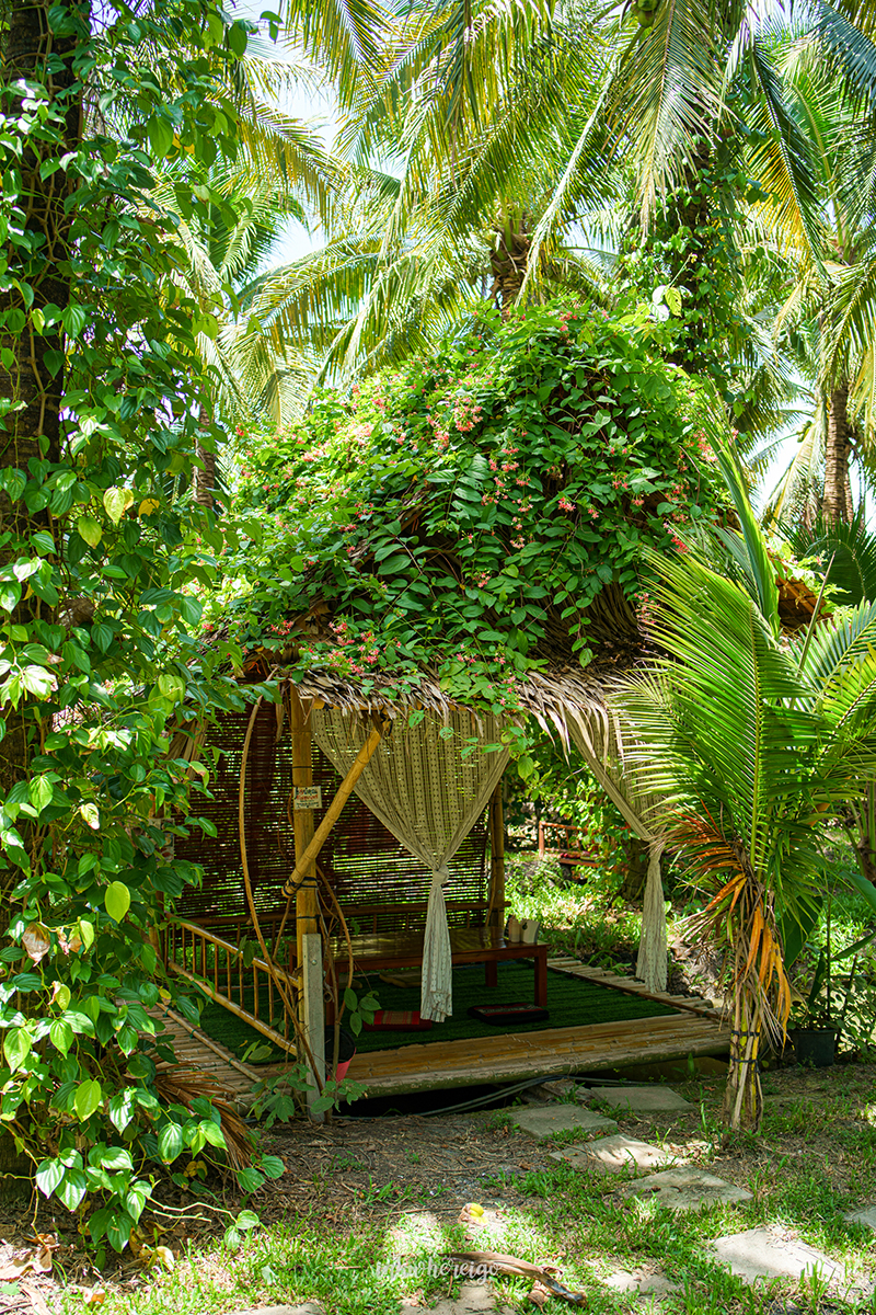 พร้าวหอมคาเฟ่