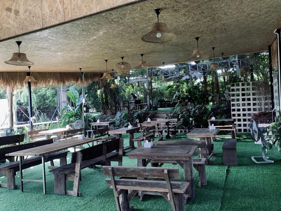 Monstera Cafe