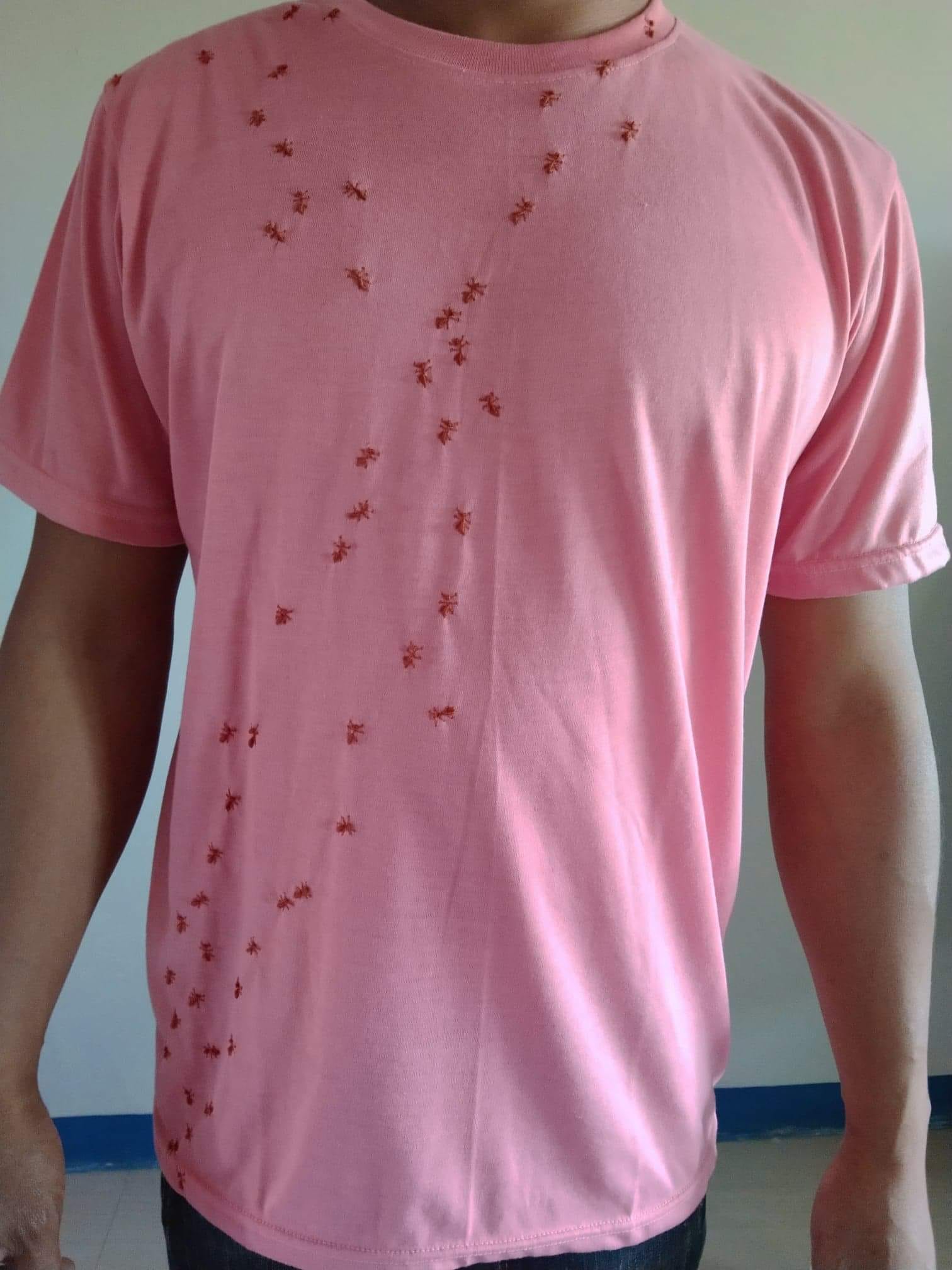 มดขึ้นเสื้อ