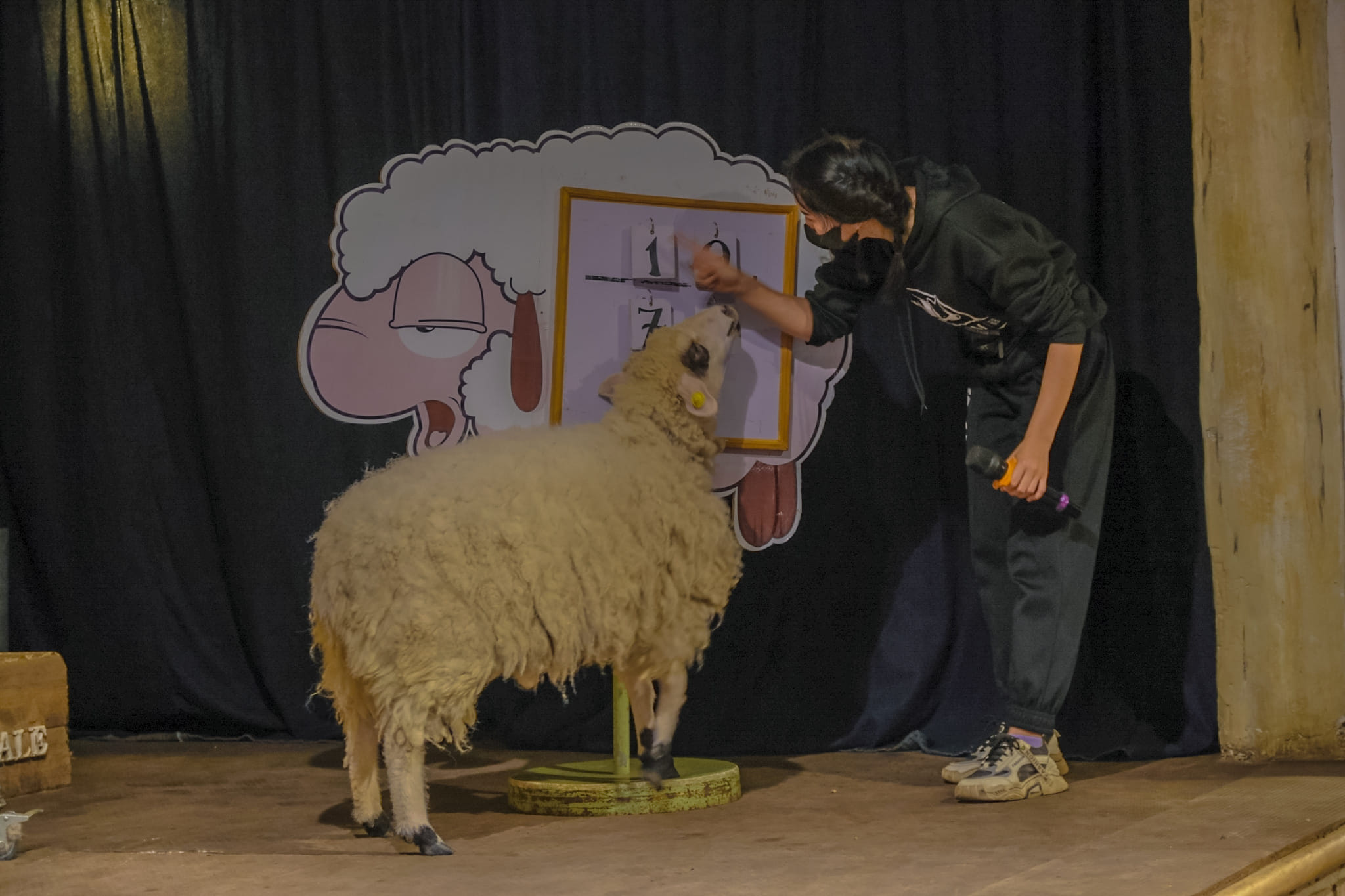 The Scenery Vintage Farm