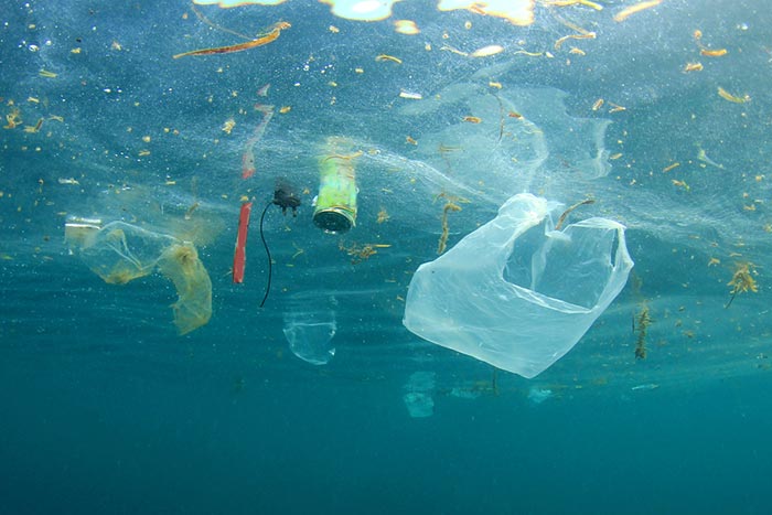 Circular Economy
