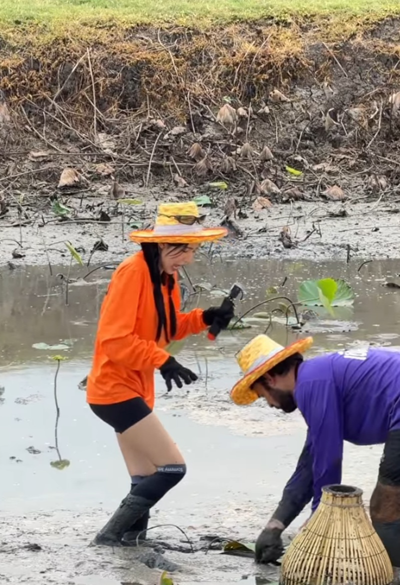 เจนิส เจณิสตา