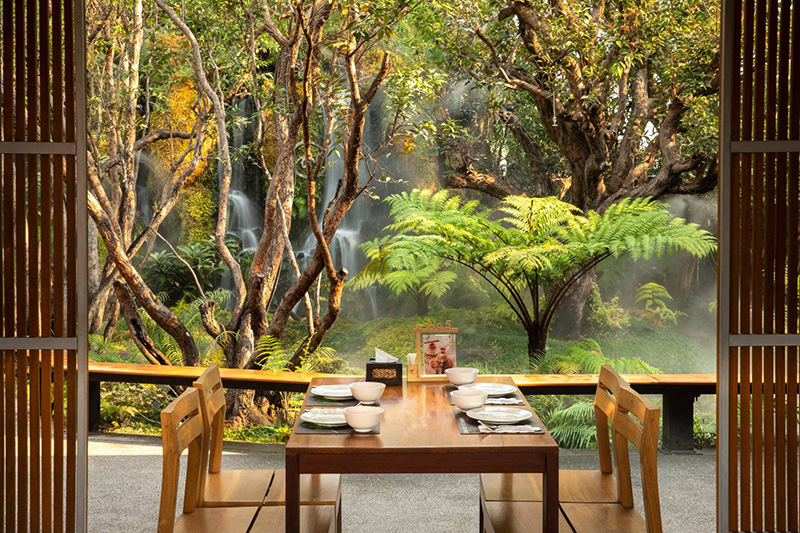 ร้านกาแฟเชียงใหม่ ธรรมชาติ