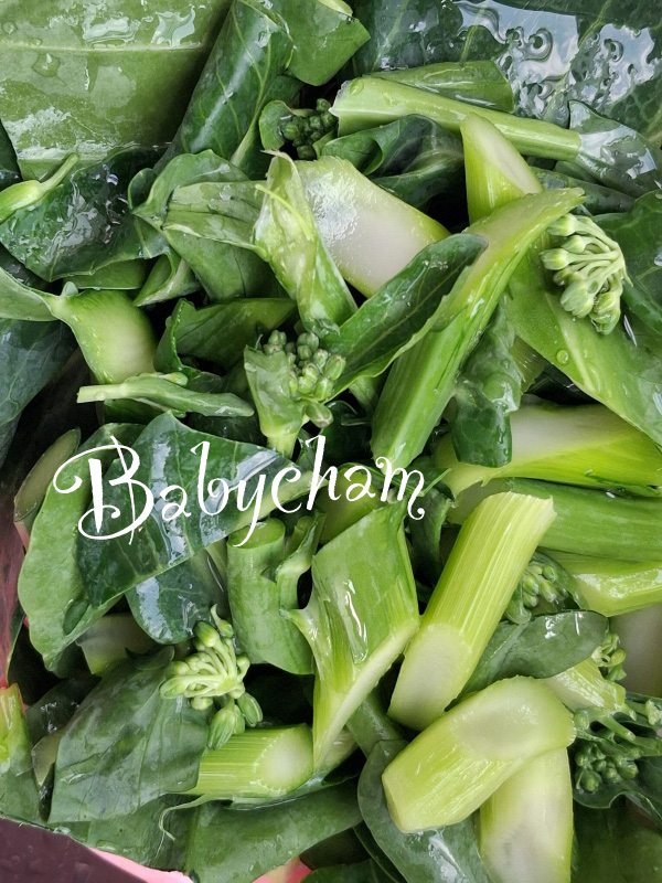 แผ่นแป้งเวียดนามผัดซีอิ๊ว เมนูเส้น ผัดซีอิ๊ว อาหารจานเดียว เมนูอาหารไทย