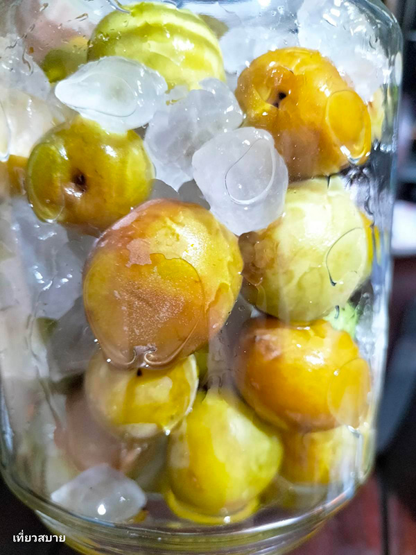 ไซรัปบ๊วย วิธีทำ Ume Syrup สูตรเครื่องดื่ม