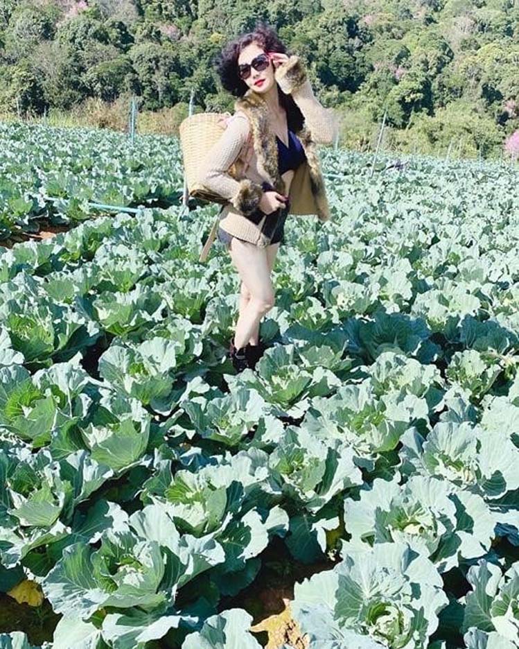 แอน มรกต มณีฉาย