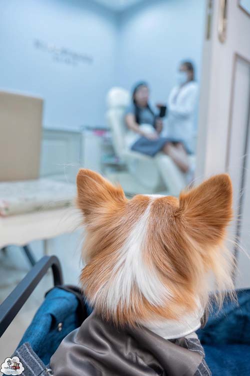 คลินิกความงาม  