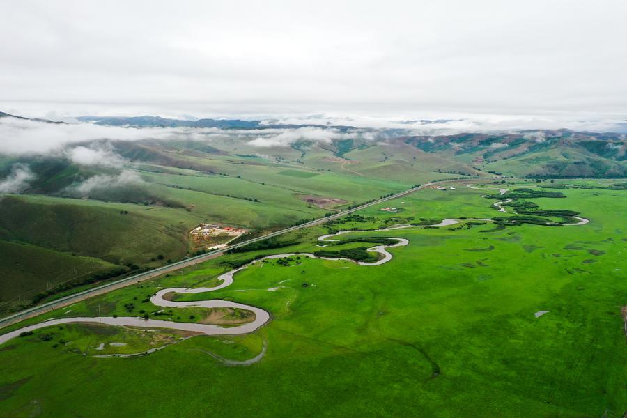 ทุ่งหญ้ามองโกเลีย