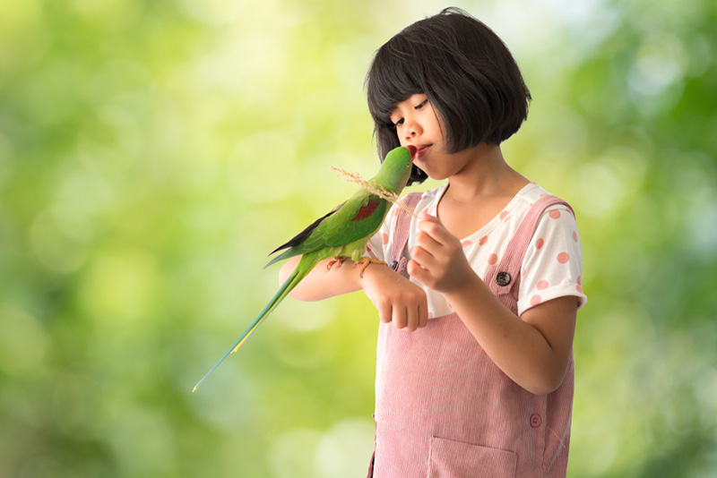 ไข้นกแก้ว ติดต่อยังไง