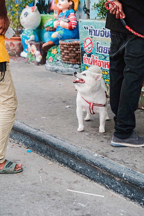 สถานตากอากาศบางปู