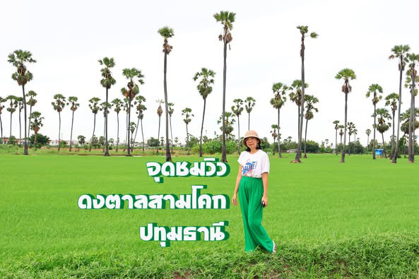 จุดชมวิวดงตาลสามโคก