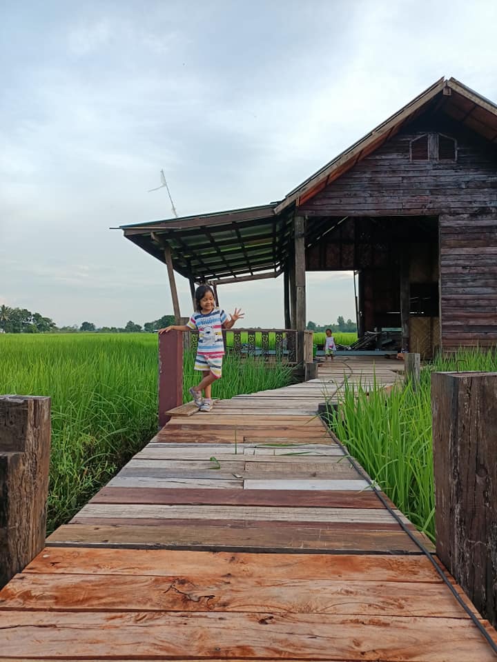สร้างบ้านกลางทุ่งนา