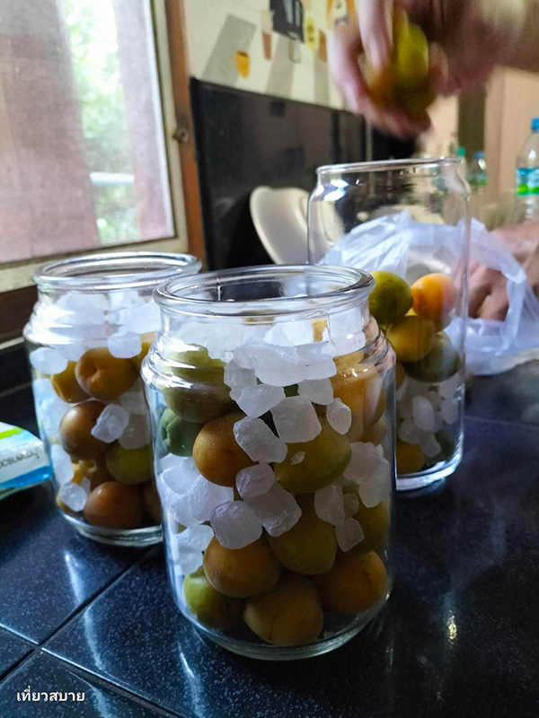 ไซรัปบ๊วย วิธีทำ Ume Syrup สูตรเครื่องดื่ม