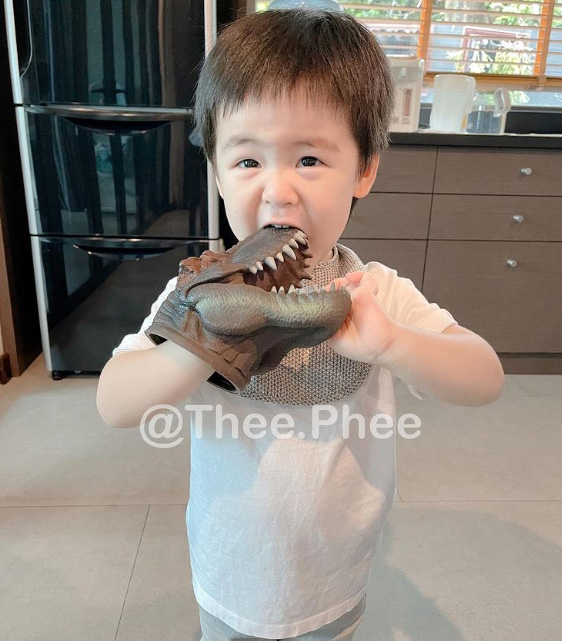 ลูกดารา