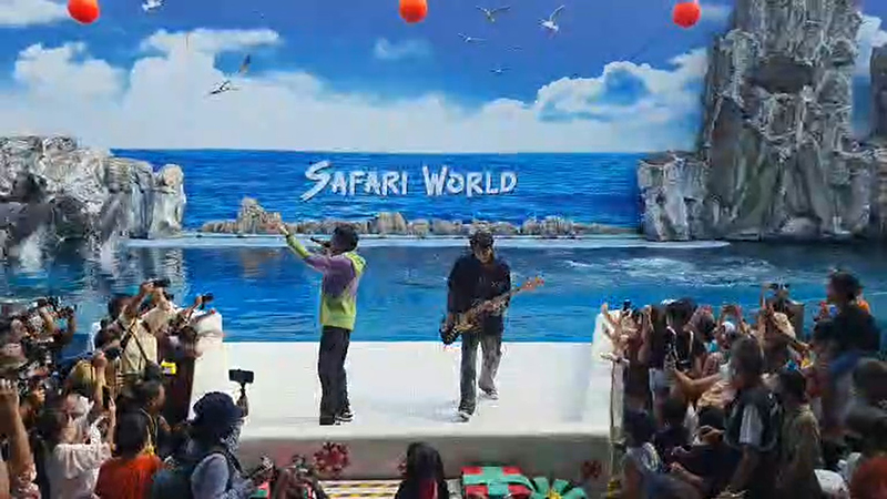 Paper Planes ทรงอย่างแบด