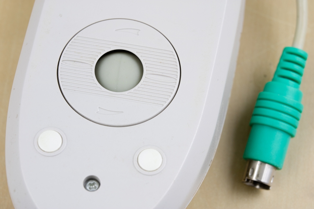 วิวัฒนาการของเมาส์