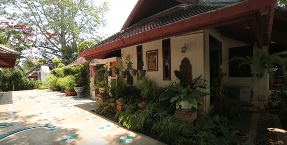 นีโน่ เมทนี