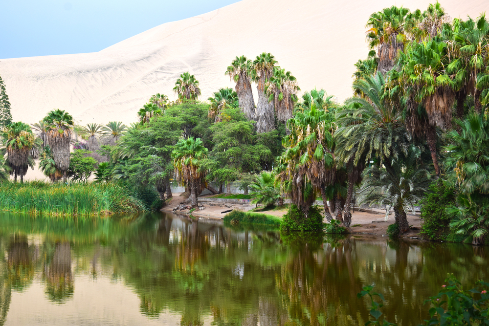 Huacachina